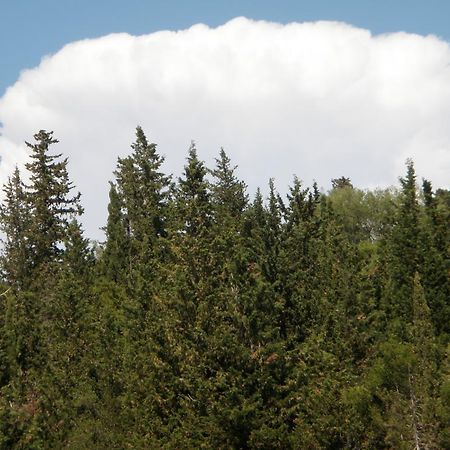 Afroditi Studios Sívota Exteriör bild