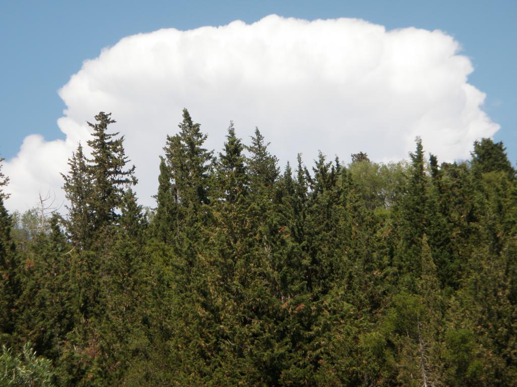 Afroditi Studios Sívota Exteriör bild